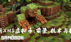 全面解析XMS虚拟币：前景