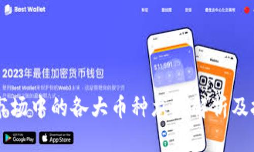 虚拟币市场中的各大币种龙头解析及投资指南