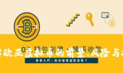 全面了解欧亚虚拟币的前