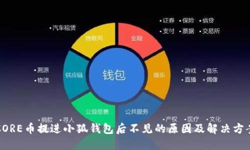 CORE币提进小狐钱包后不见的原因及解决方案