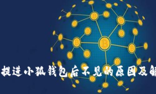 CORE币提进小狐钱包后不见的原因及解决方案