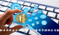最新虚拟币大跌后会大涨