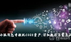 如何在小狐钱包中提现C