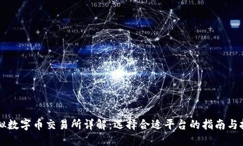 虚拟数字币交易所详解：选择合适平台的指南与技巧