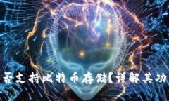 MetaMask是否支持比特币存储