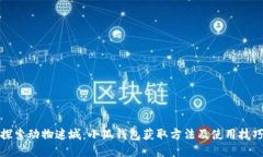 探索动物迷城：小狐钱包