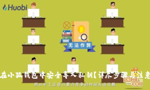 如何在小狐钱包中安全导入私钥？详尽步骤与注意事项