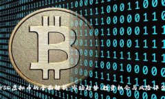 YSD虚拟币的全面解析：市