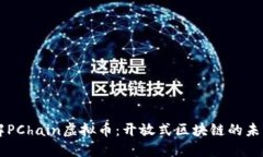 深入了解PChain虚拟币：开
