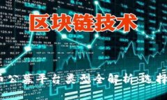 2023年虚拟币公募平台类型