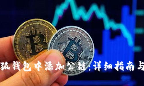 如何在小狐钱包中添加公链：详细指南与最佳实践