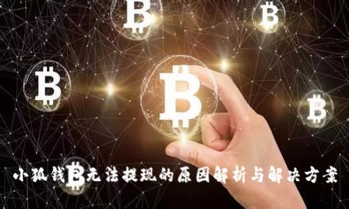 小狐钱包无法提现的原因解析与解决方案