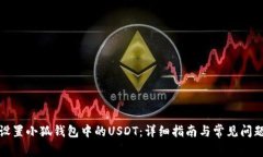 如何设置小狐钱包中的USDT：详细指南与常见问题
