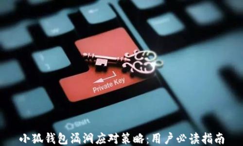 
小狐钱包漏洞应对策略：用户必读指南