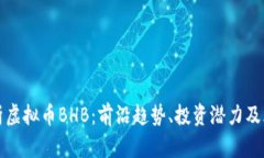深入解析虚拟币BHB：前沿