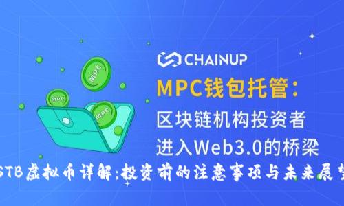 STB虚拟币详解：投资前的注意事项与未来展望