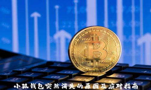 
小狐钱包突然消失的原因及应对指南