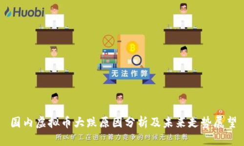 国内虚拟币大跌原因分析及未来走势展望
