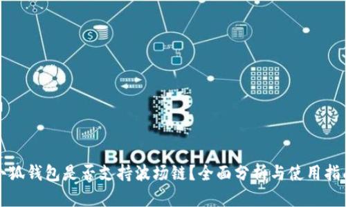 小狐钱包是否支持波场链？全面分析与使用指南