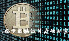 虚拟币侦查：揭示区块链