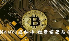 全面解析CNYB虚拟币：投资