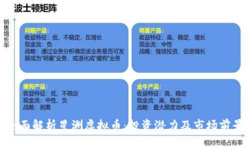 全面解析星洲虚拟币：投资潜力及市场前景