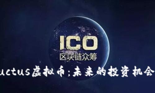深入探讨Auctus虚拟币：未来的投资机会与风险分析