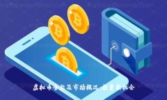 虚拟币全称及市场概况：