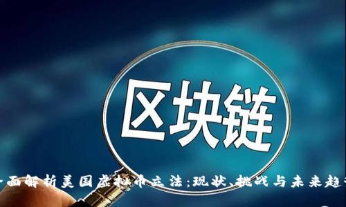 全面解析美国虚拟币立法：现状、挑战与未来趋势
