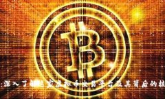 美币网：深入了解这家虚