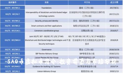 SAO币虚拟币简介：投资前景与市场分析