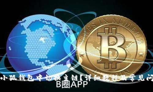 如何在小狐钱包中切换主链？详细教程及常见问题解答