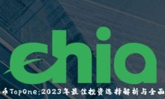   虚拟币TopOne：2023年最佳