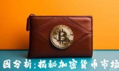 虚拟币暴跌原因分析：揭