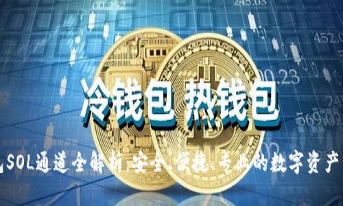 小狐钱包SOL通道全解析：安全、便捷、专业的数字资产管理利器