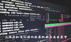 上海虚拟币公司的发展现