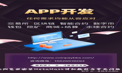 谷歌浏览器安装MetaMask详细教程与常见问题解析