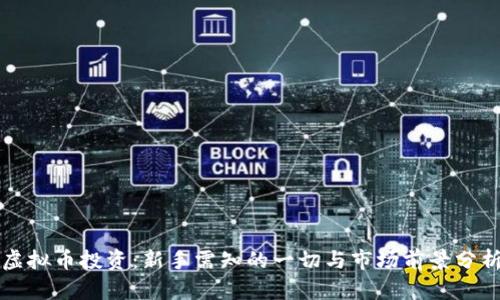 虚拟币投资：新手需知的一切与市场前景分析