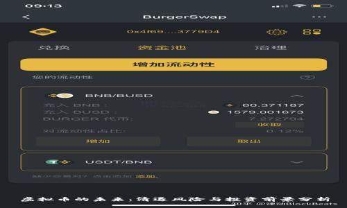 虚拟币的未来：清退风险与投资前景分析